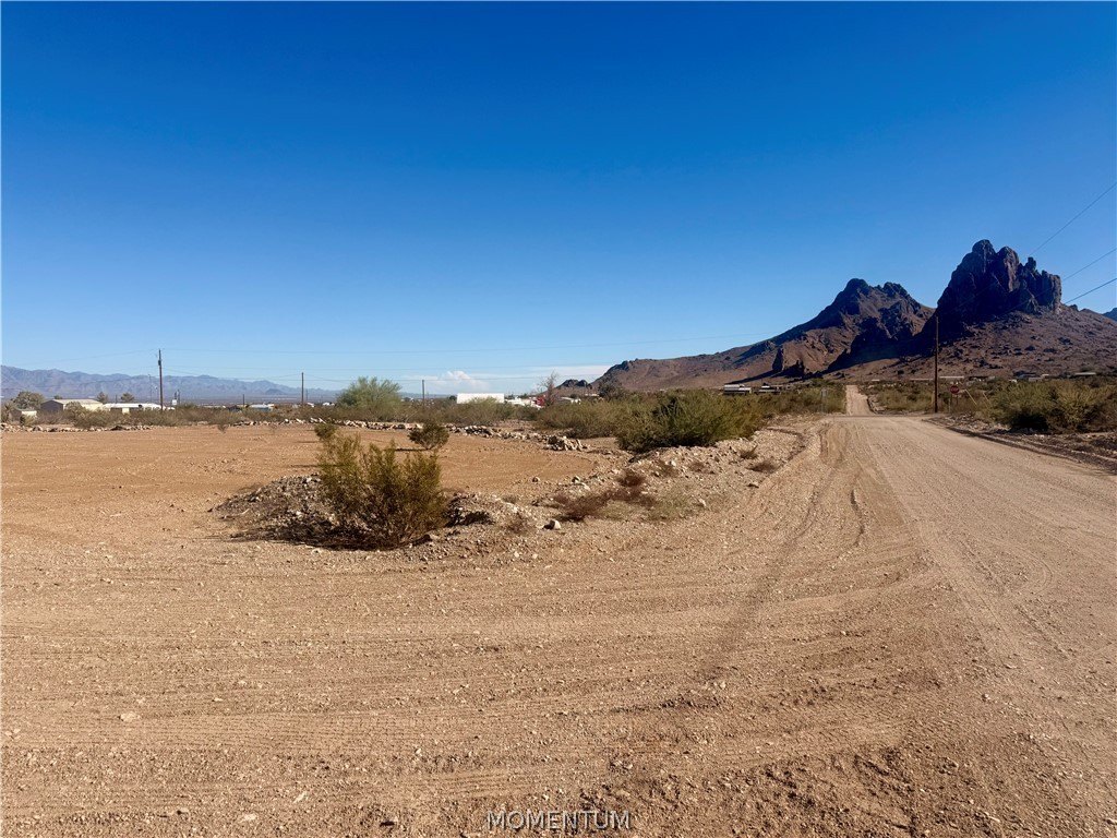 Picture 21
