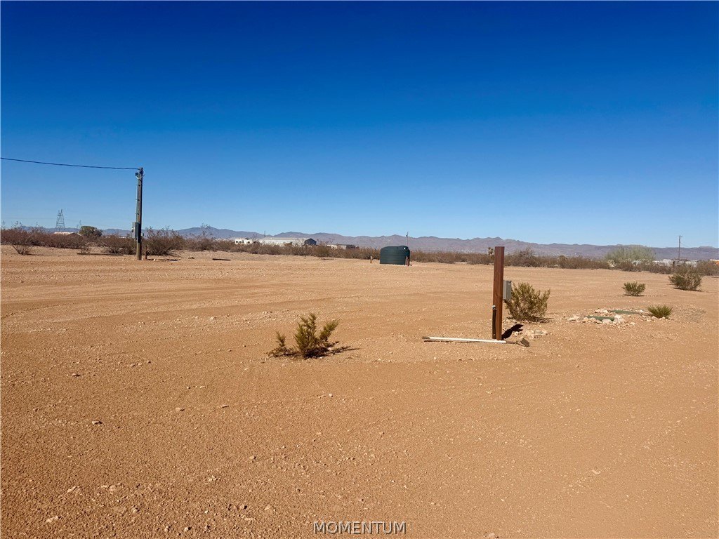 Picture 16
