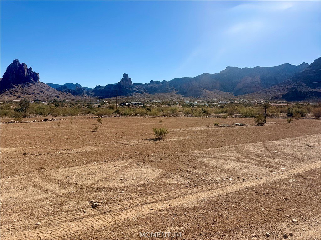 Picture 13