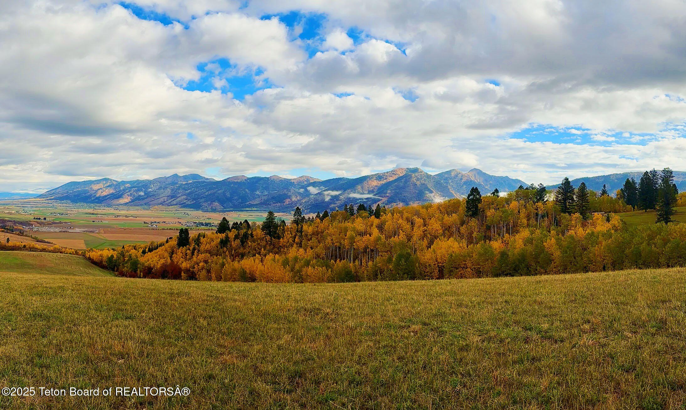 40 Acres of Elevated Farmland