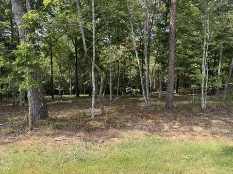 Vacant Lot, Mineral Bluff, GA