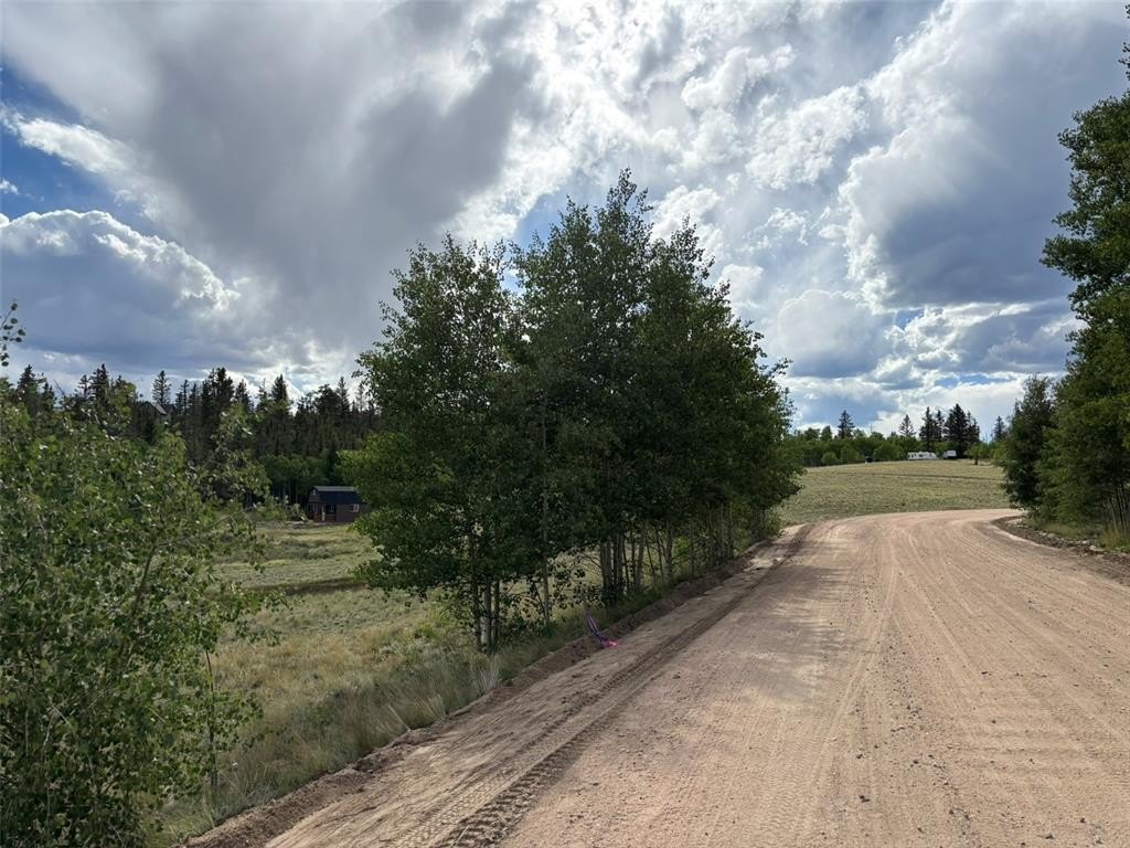 Picture 19