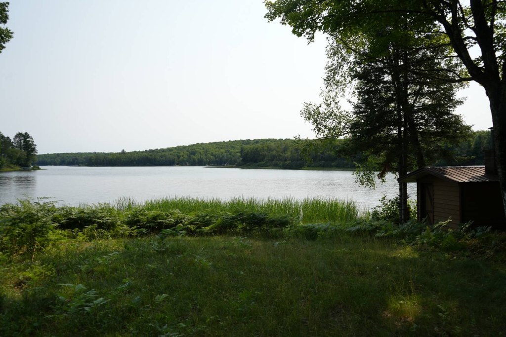 Picture 8
