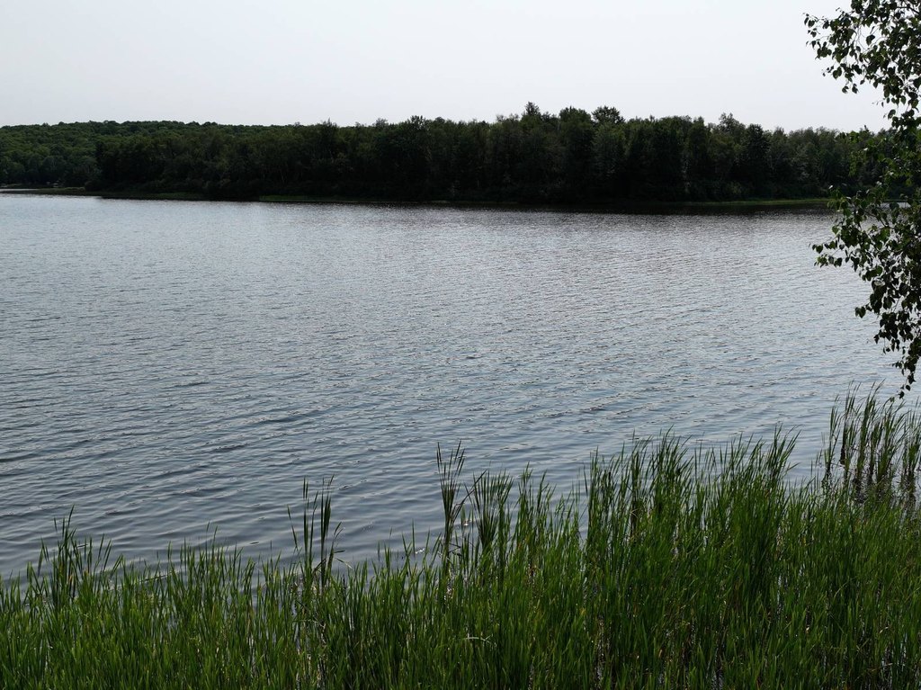 Picture 22