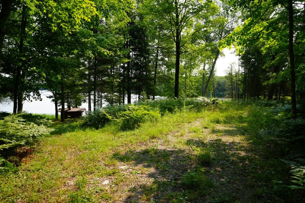 Picture 17