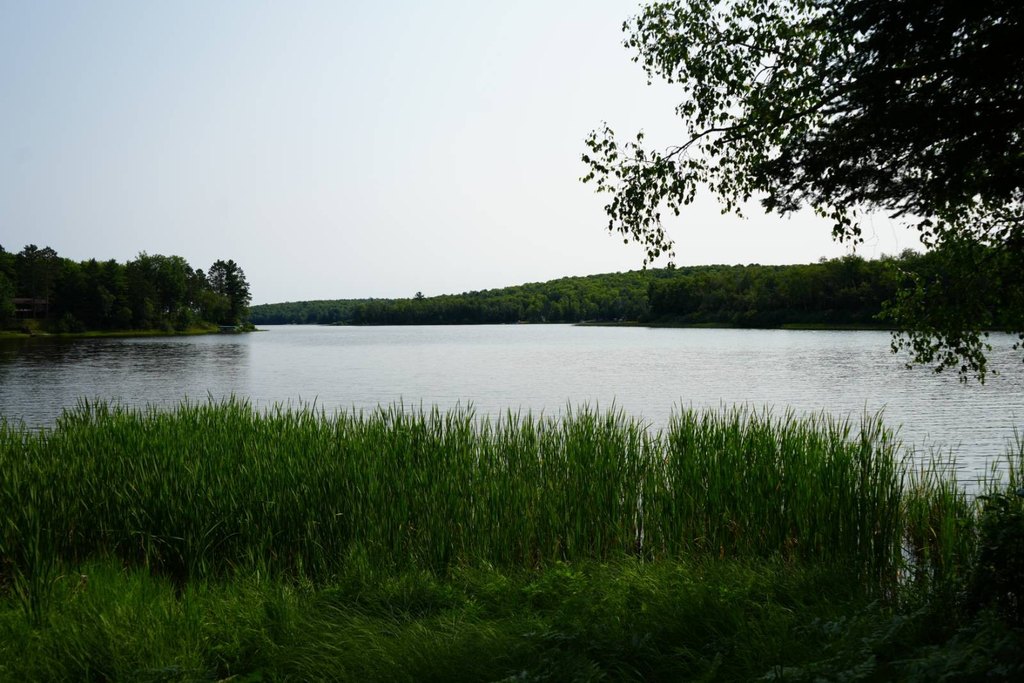 Picture 10