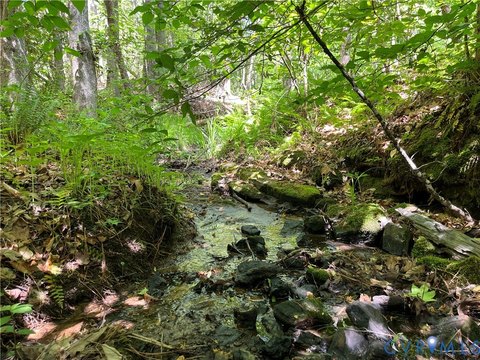 Goochland Land Near River Road