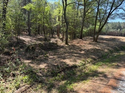 Wooded Land in Taylorsville, GA