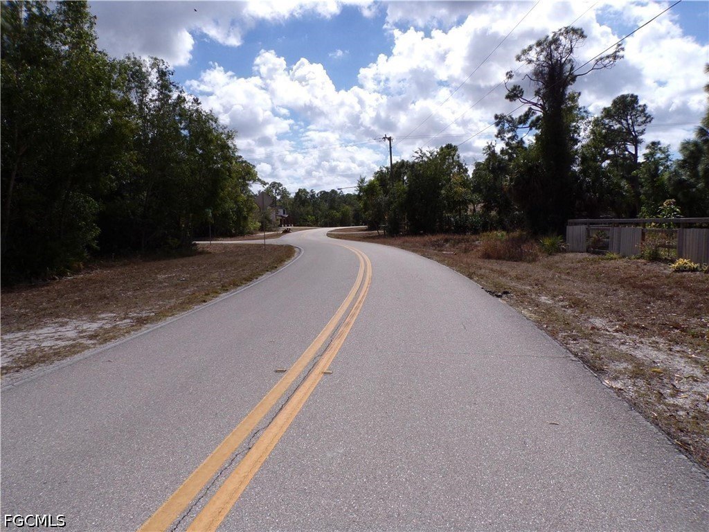 Picture 6