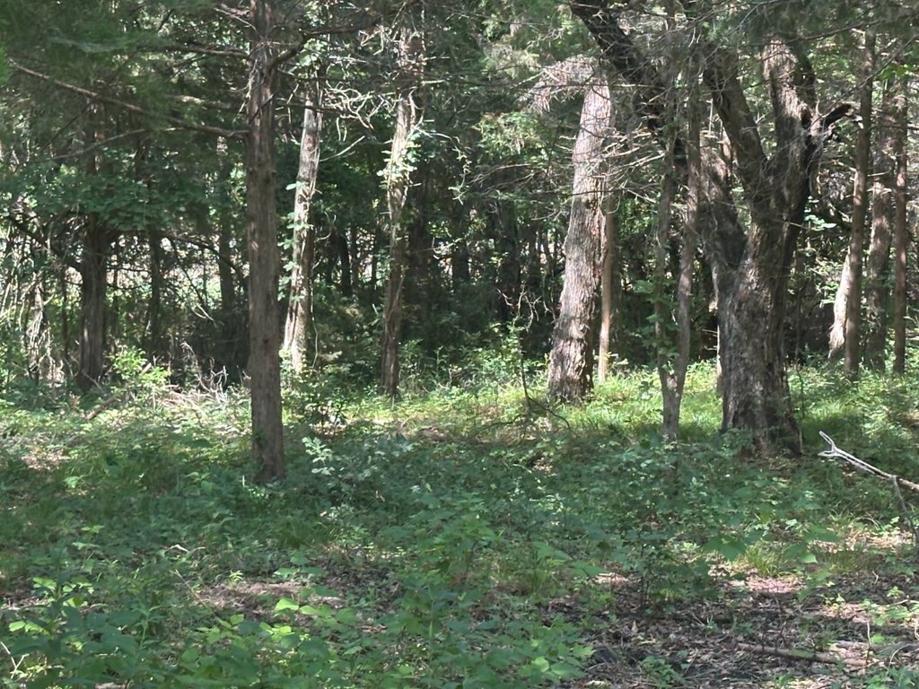 Picture 5