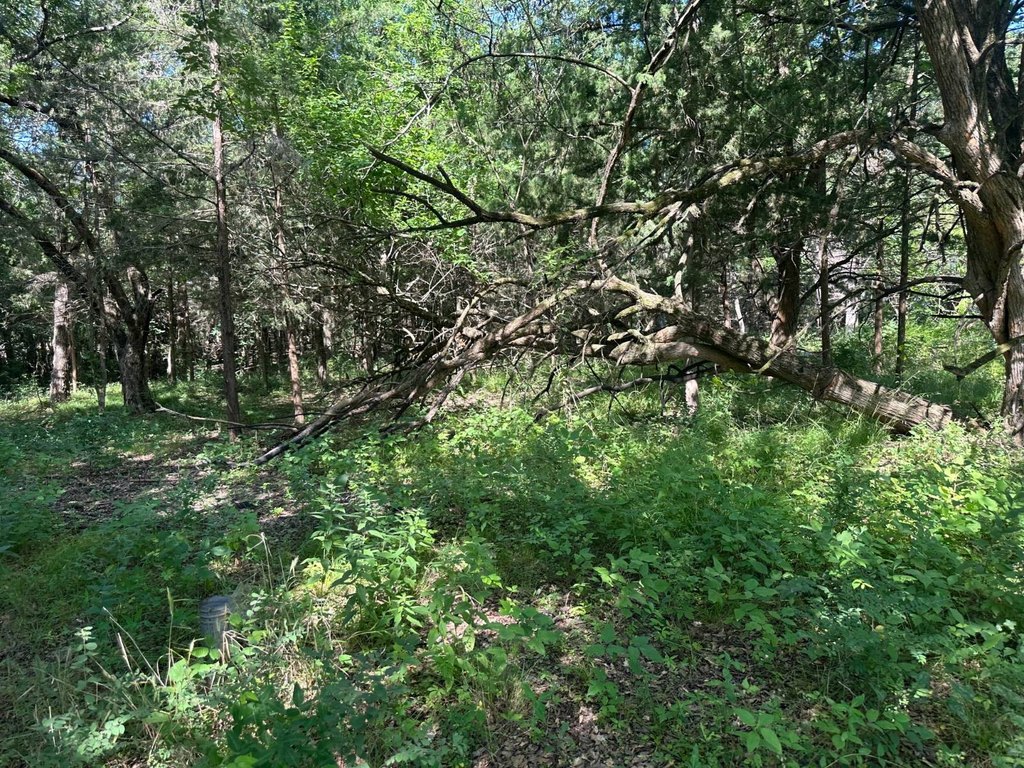 Picture 3
