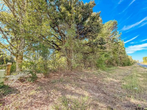 Land, Bullard, TX