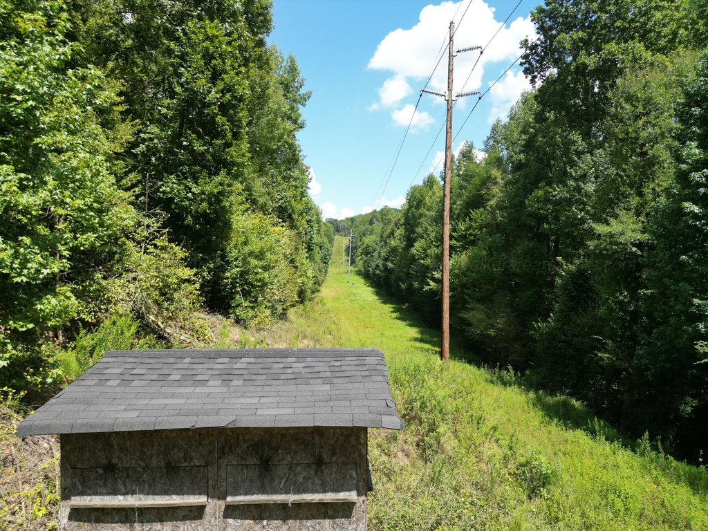 Picture 8