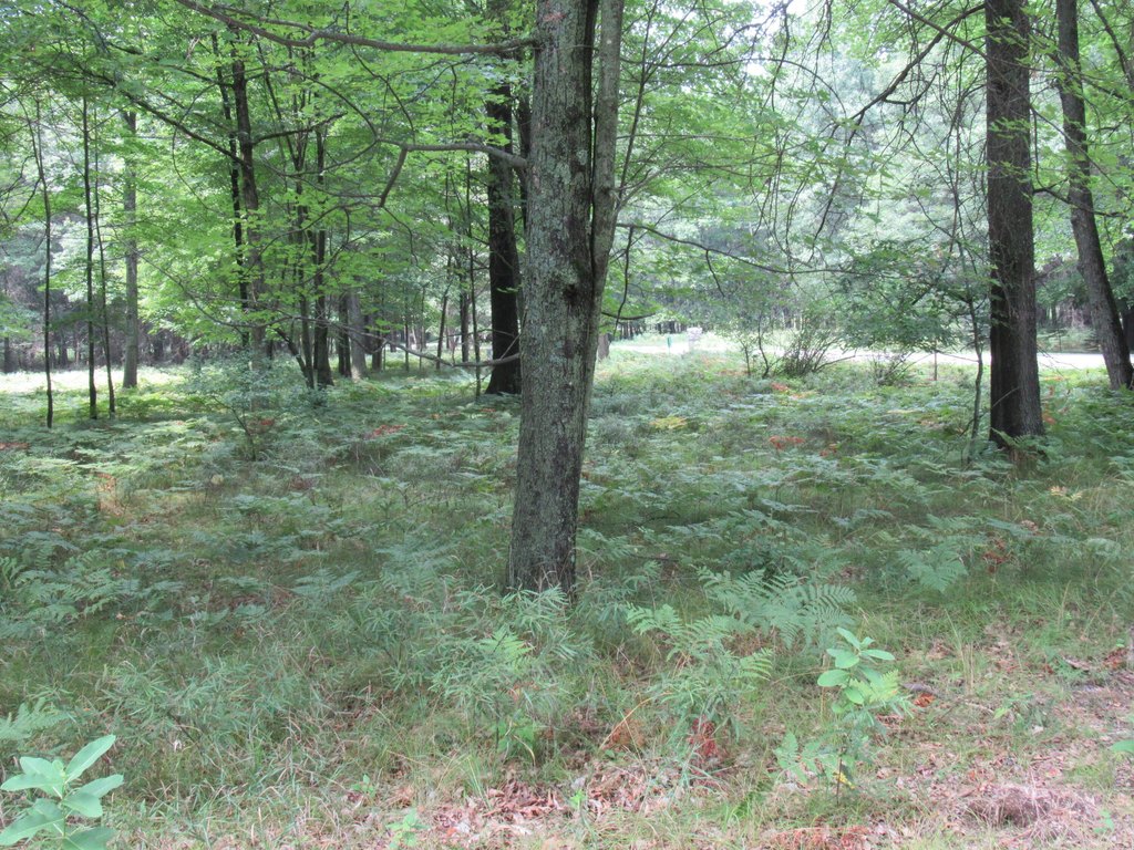 Picture 9