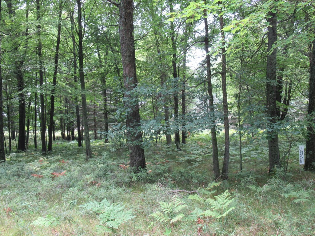 Picture 8