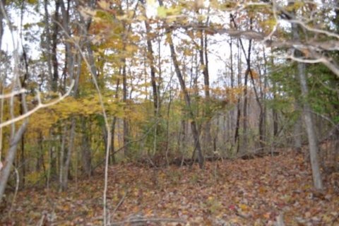 Unrestricted Wooded Land Near Lake