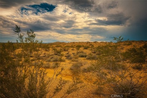 Pristine Land in Yucca Valley