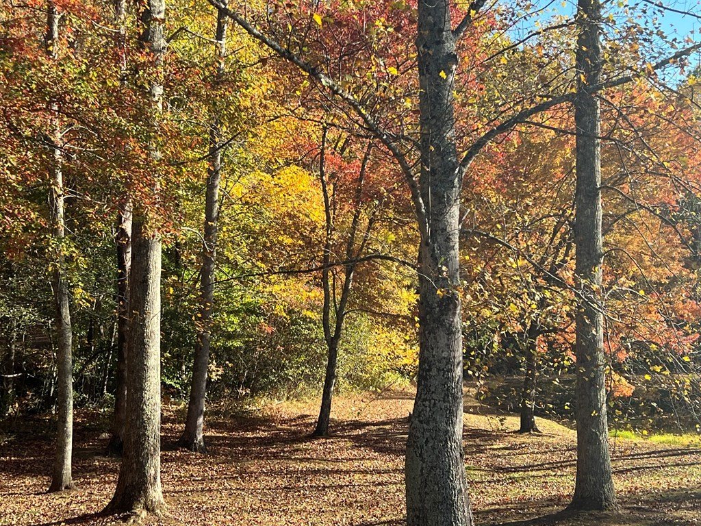 Picture 30