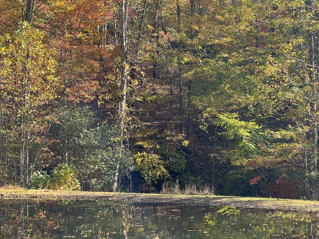 Picture 29