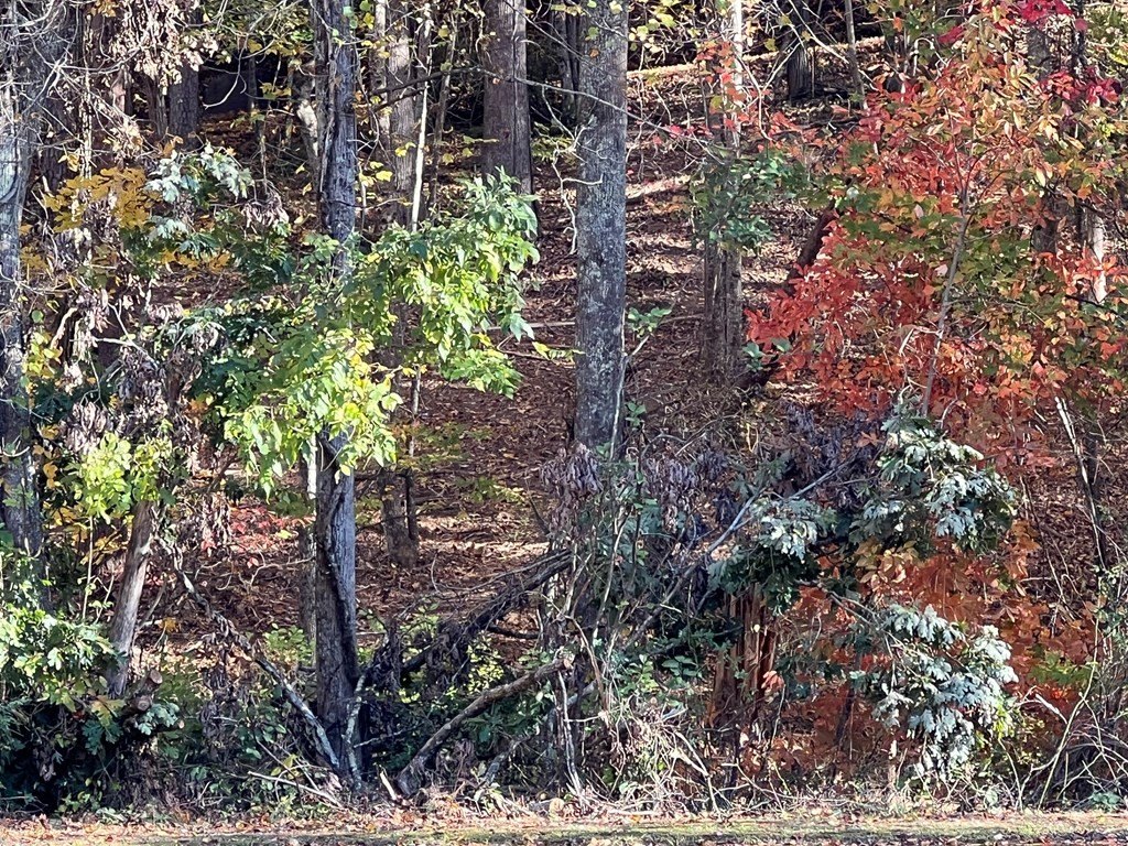Picture 21