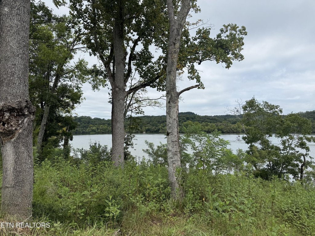 Picture 3