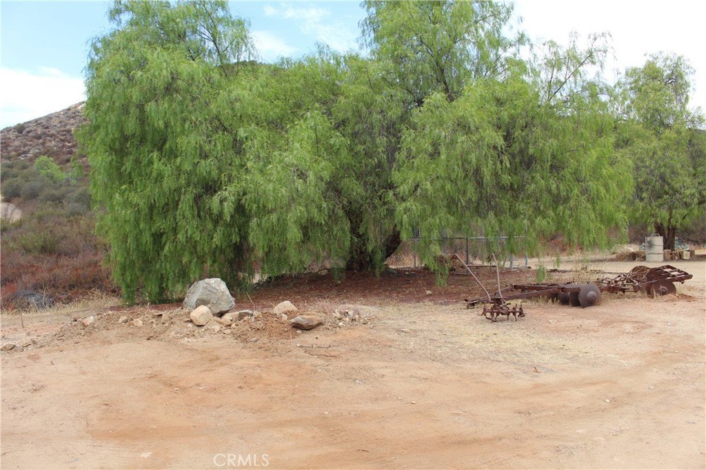 Picture 8