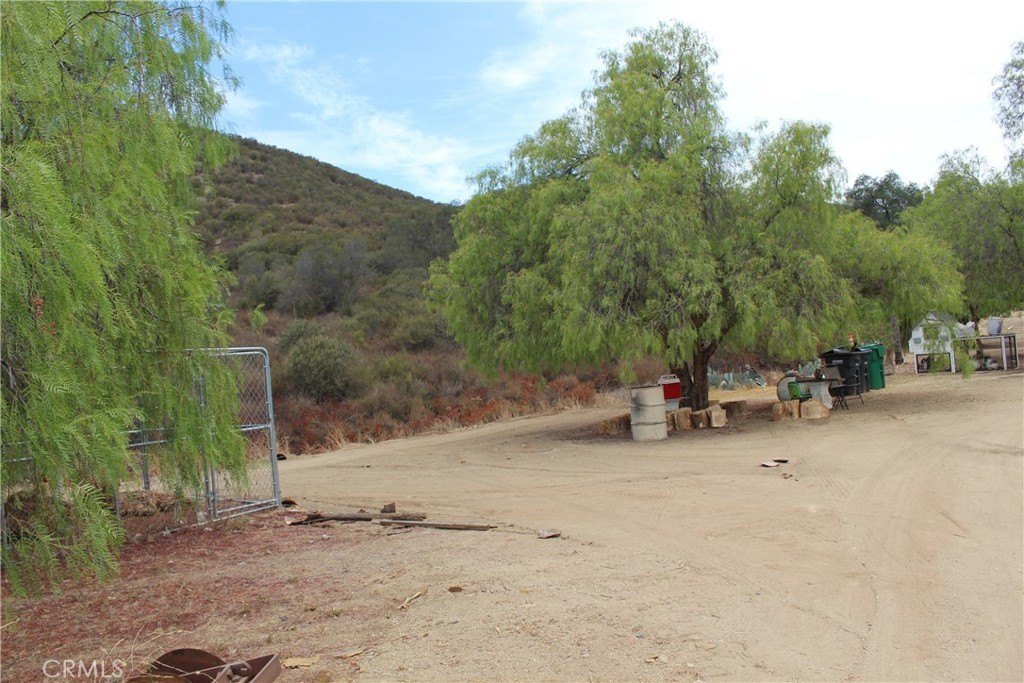 Picture 10