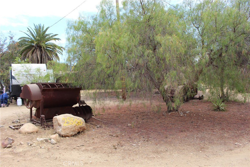 Picture 7