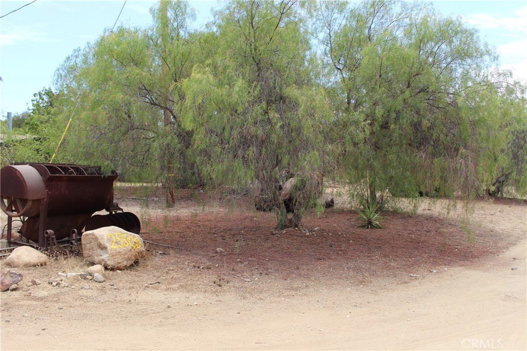 Picture 6
