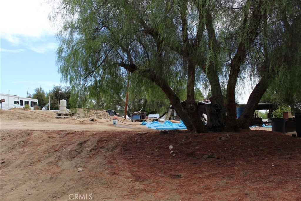Picture 15