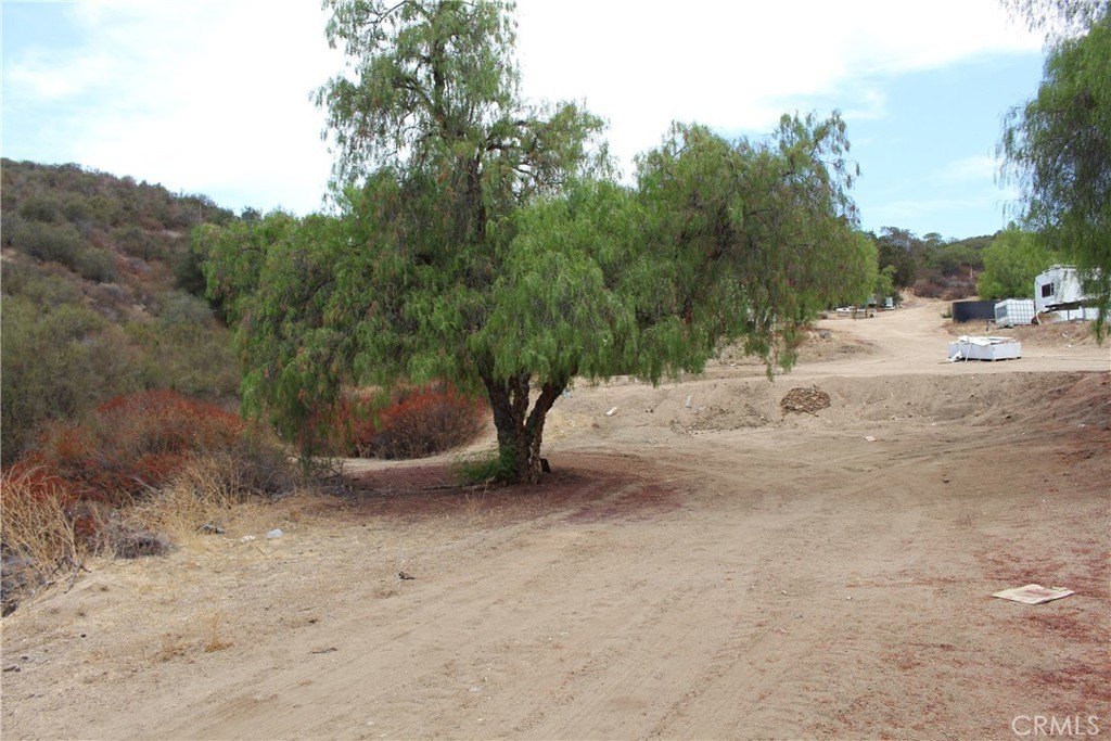Picture 12