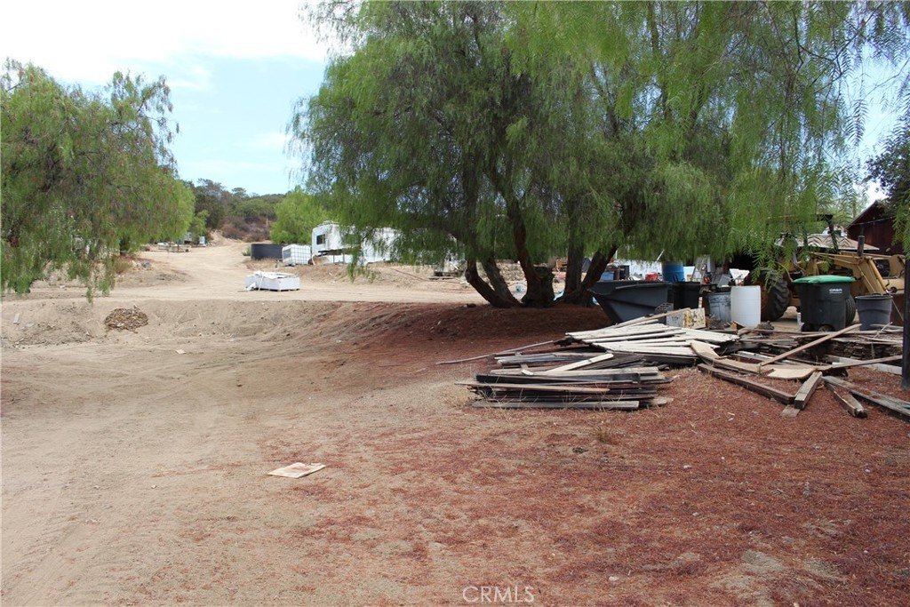 Picture 13