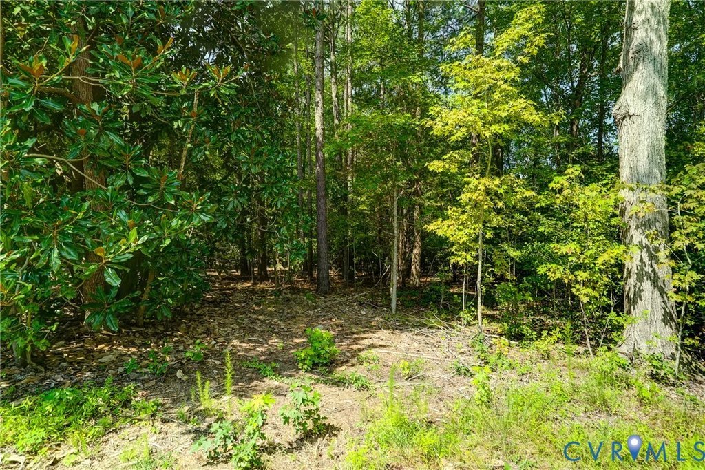 Picture 20