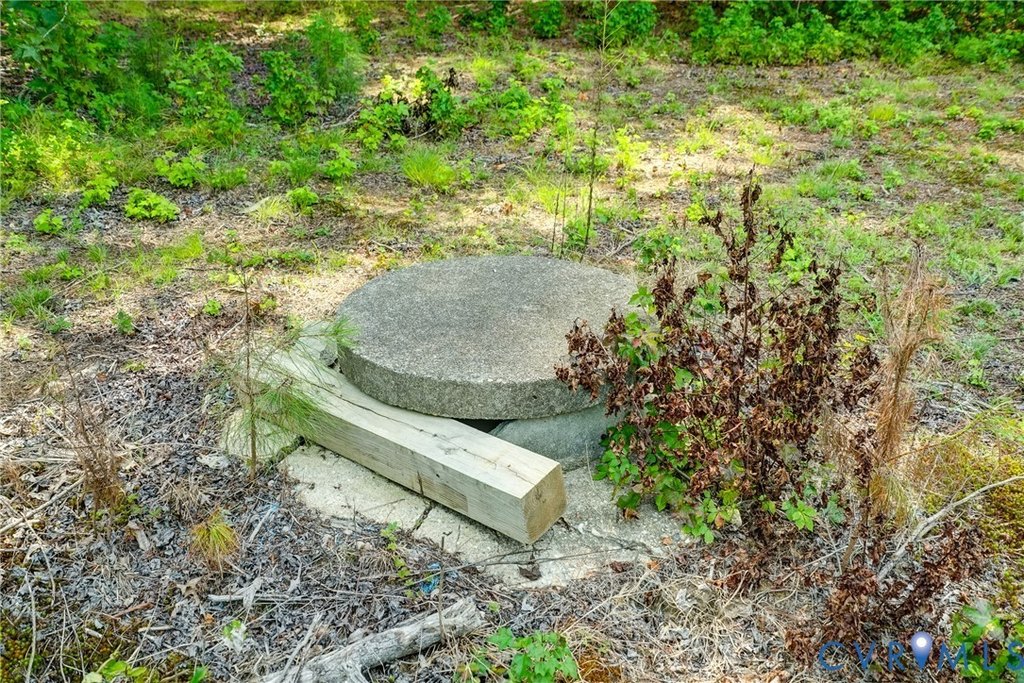 Picture 23