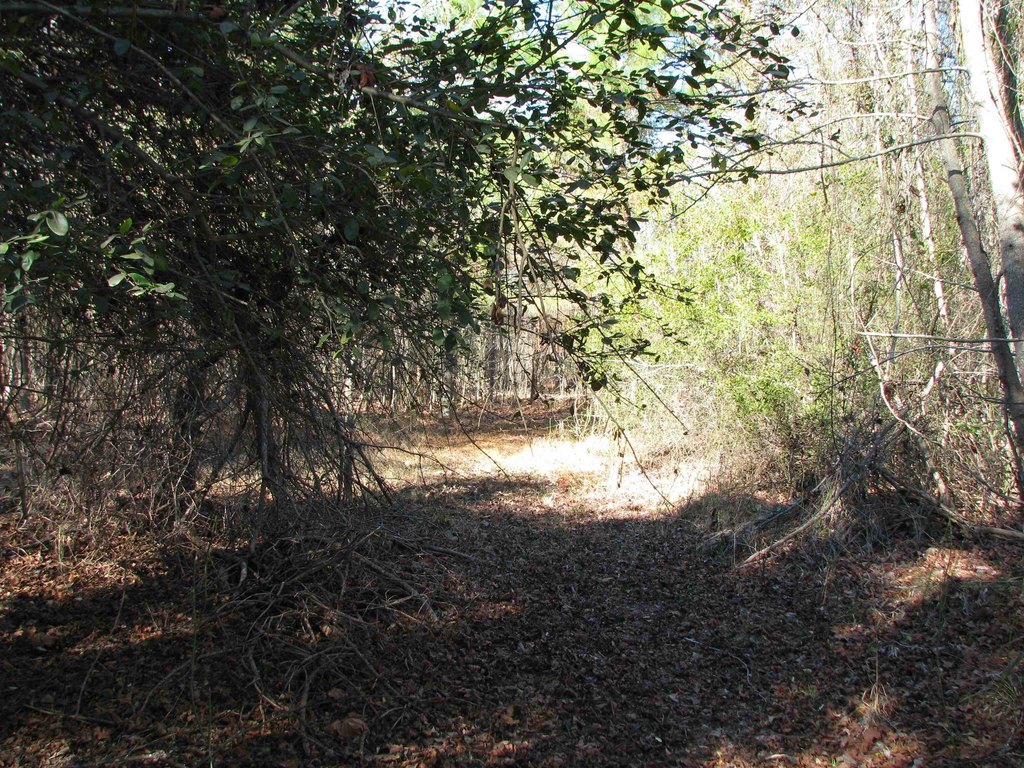 Picture 39