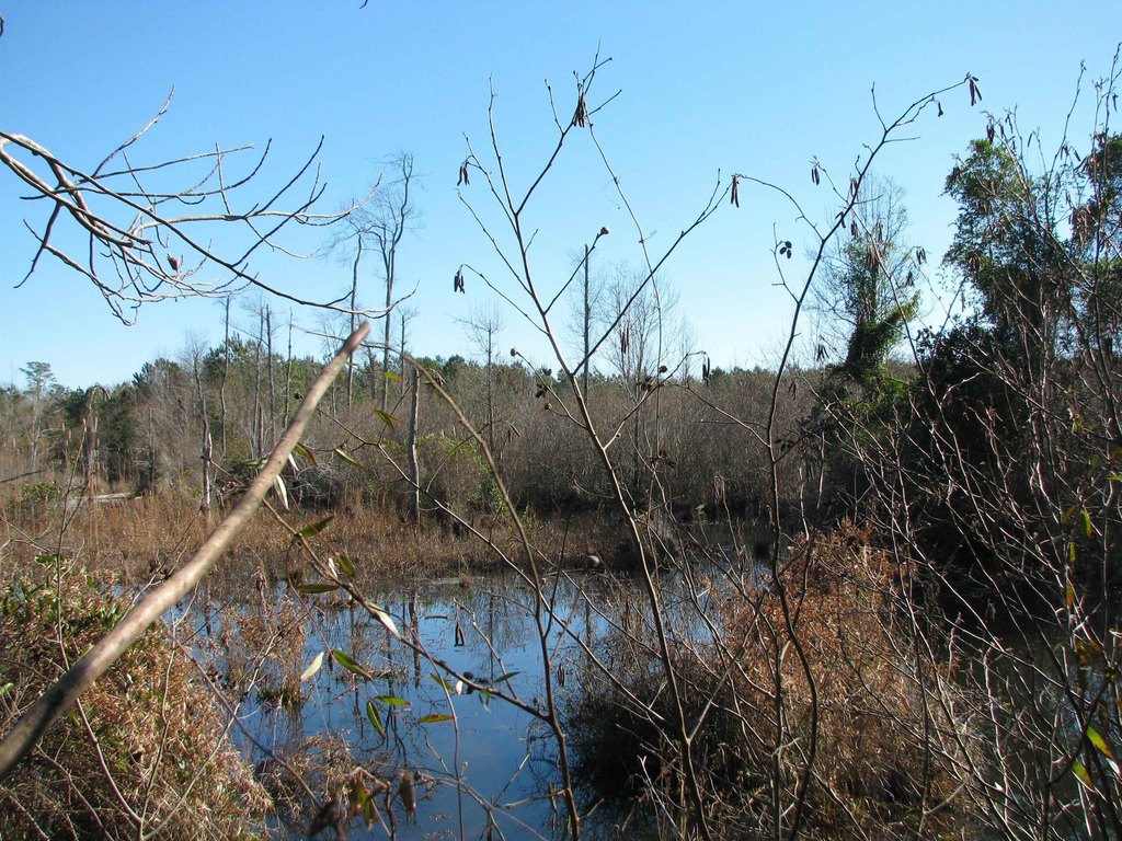 Picture 31