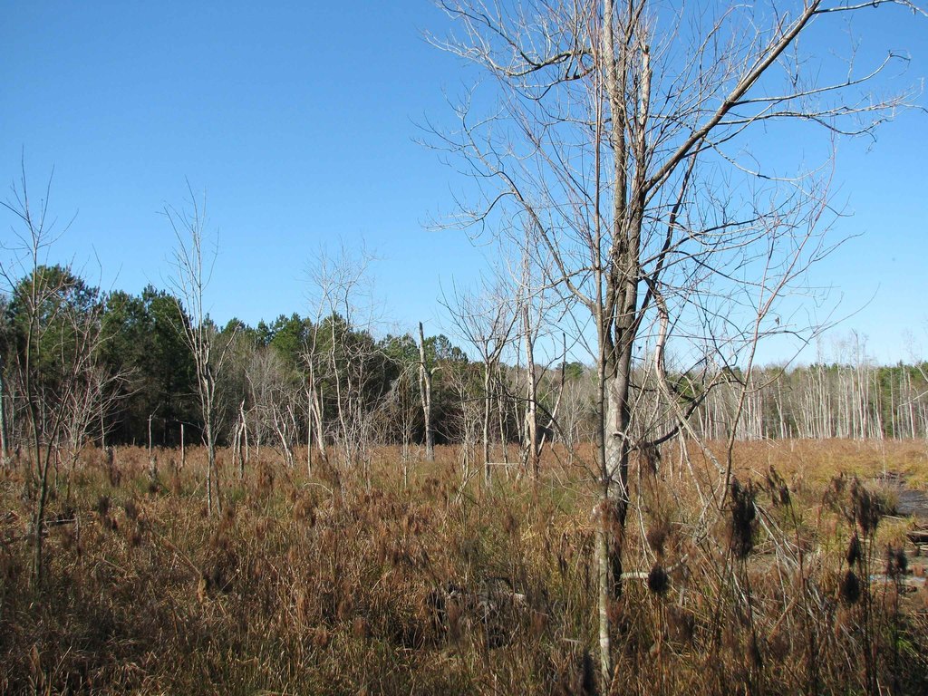 Picture 40