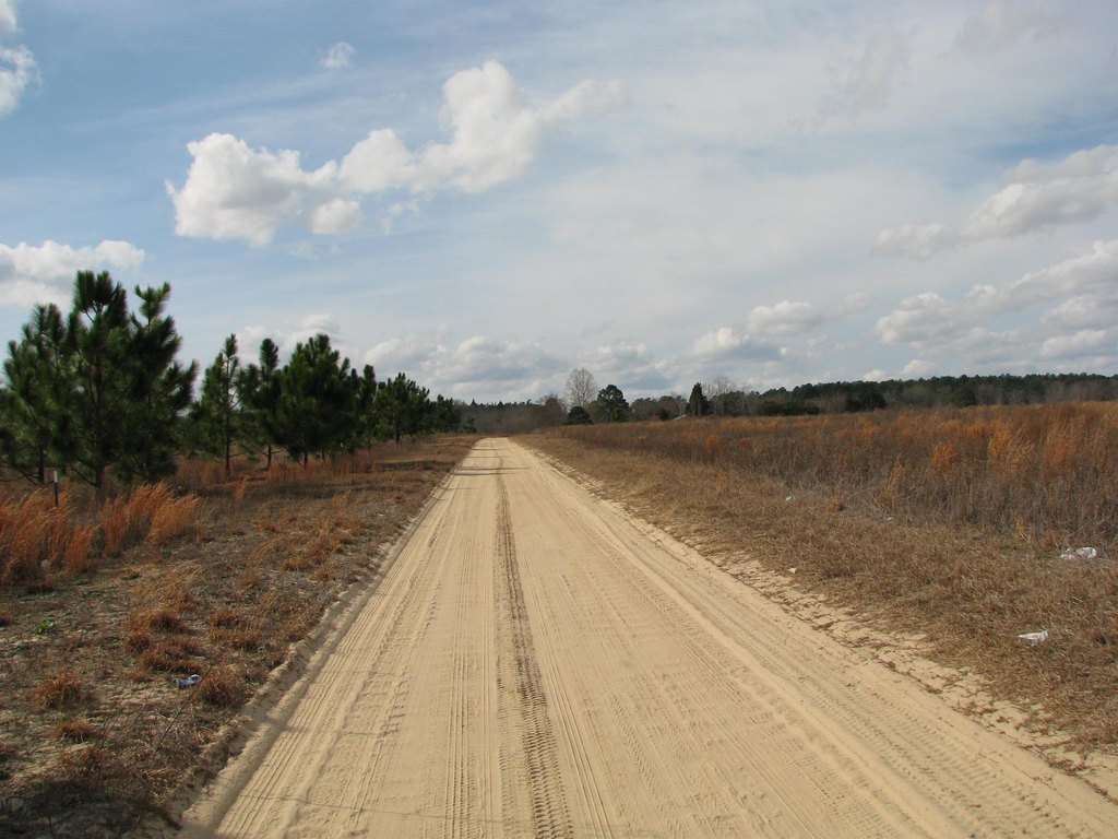 Picture 17