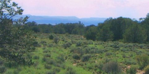 LAND - Pie Town, NM
