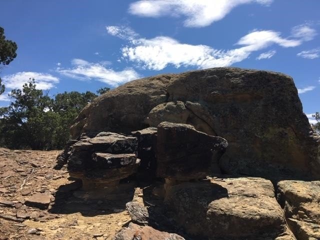 Picture 5