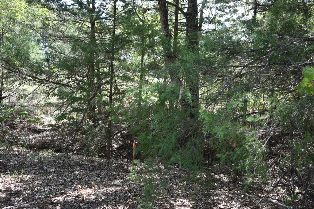 Picture 19