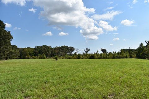 5-Acre Homesite in Athens, TX