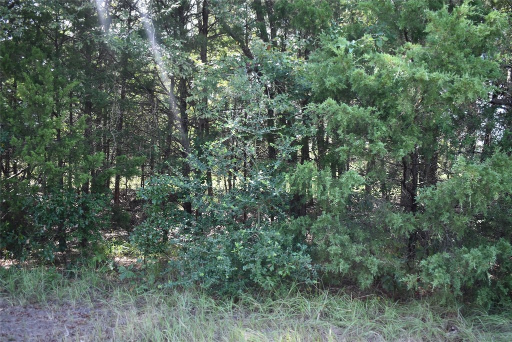 Picture 13