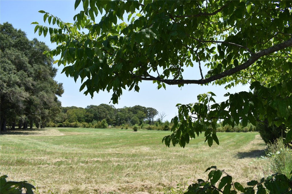 Picture 15