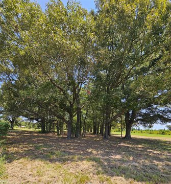 5-Acre Homesite in Athens, TX