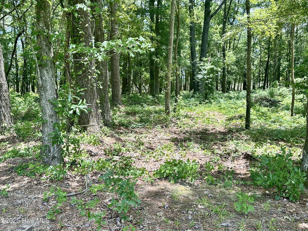 Picture 10