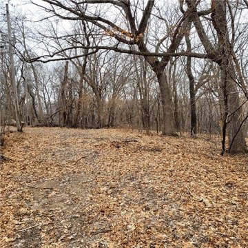 Eagan Wooded Lot Opportunity