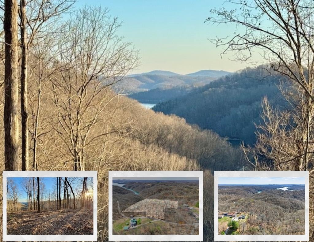 Dale Hollow Lake View Land