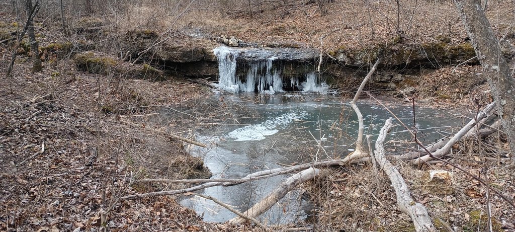 Picture 30