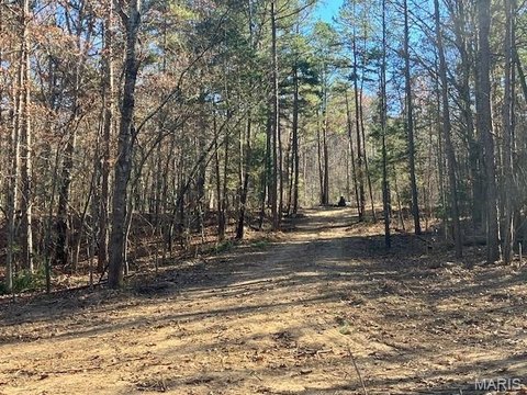6.282 Acres of Wooded Land